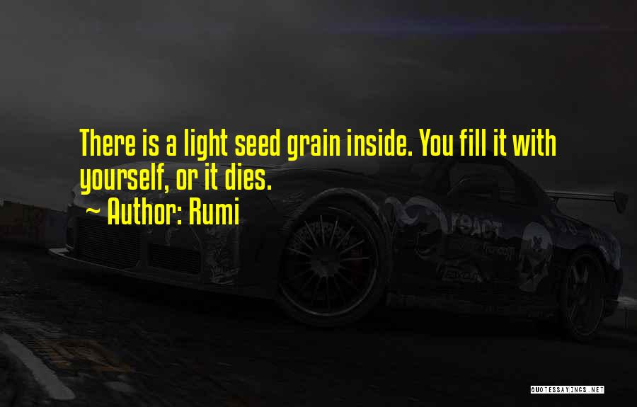Rumi Quotes: There Is A Light Seed Grain Inside. You Fill It With Yourself, Or It Dies.