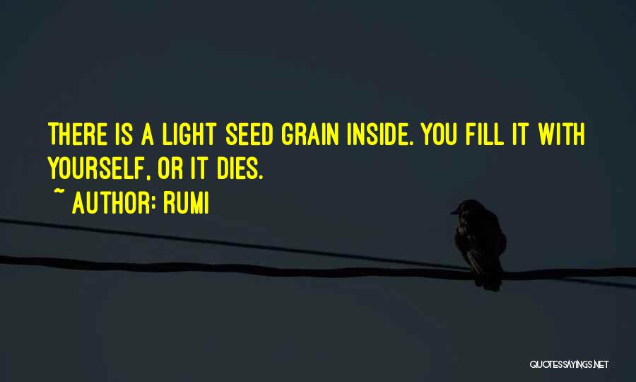 Rumi Quotes: There Is A Light Seed Grain Inside. You Fill It With Yourself, Or It Dies.