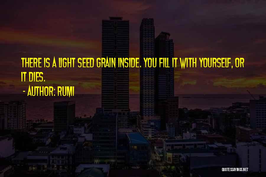 Rumi Quotes: There Is A Light Seed Grain Inside. You Fill It With Yourself, Or It Dies.