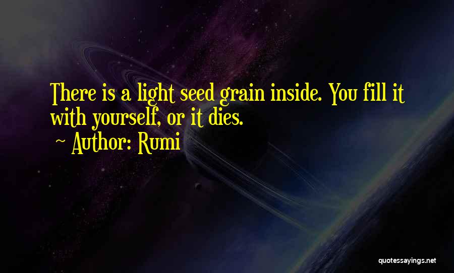 Rumi Quotes: There Is A Light Seed Grain Inside. You Fill It With Yourself, Or It Dies.