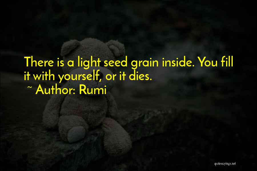 Rumi Quotes: There Is A Light Seed Grain Inside. You Fill It With Yourself, Or It Dies.
