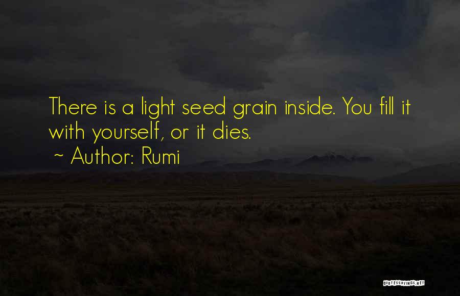 Rumi Quotes: There Is A Light Seed Grain Inside. You Fill It With Yourself, Or It Dies.