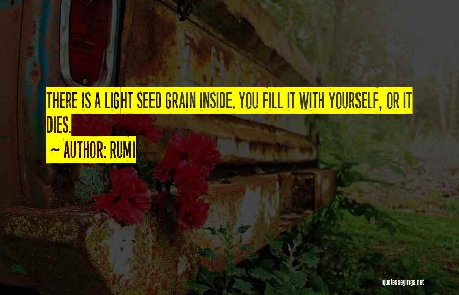 Rumi Quotes: There Is A Light Seed Grain Inside. You Fill It With Yourself, Or It Dies.