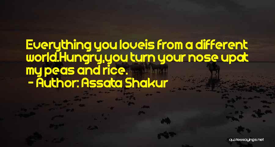 Assata Shakur Quotes: Everything You Loveis From A Different World.hungry,you Turn Your Nose Upat My Peas And Rice.