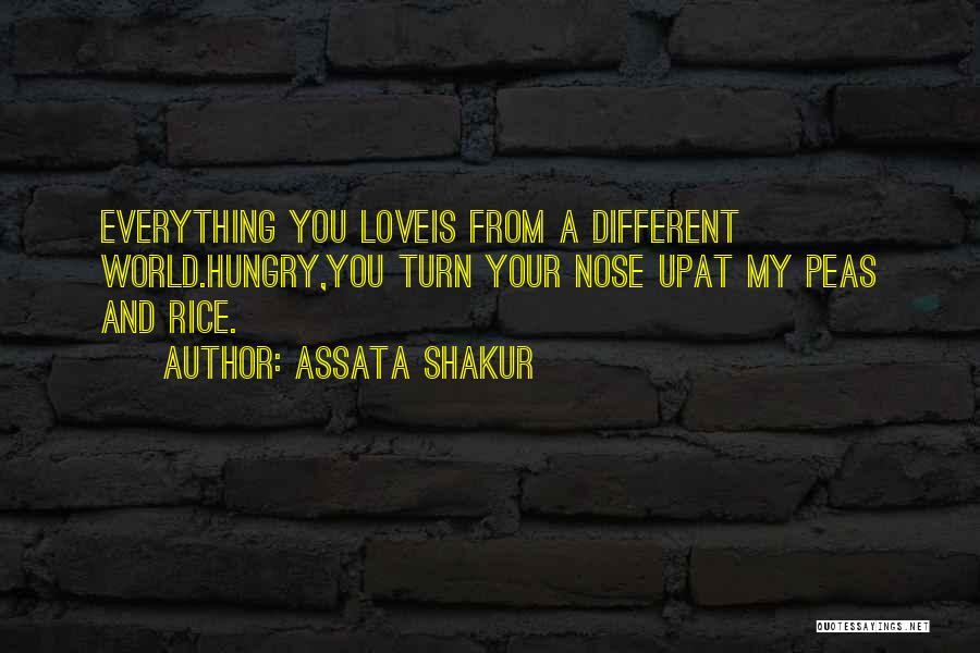 Assata Shakur Quotes: Everything You Loveis From A Different World.hungry,you Turn Your Nose Upat My Peas And Rice.