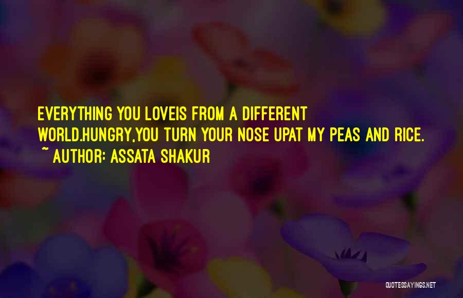 Assata Shakur Quotes: Everything You Loveis From A Different World.hungry,you Turn Your Nose Upat My Peas And Rice.