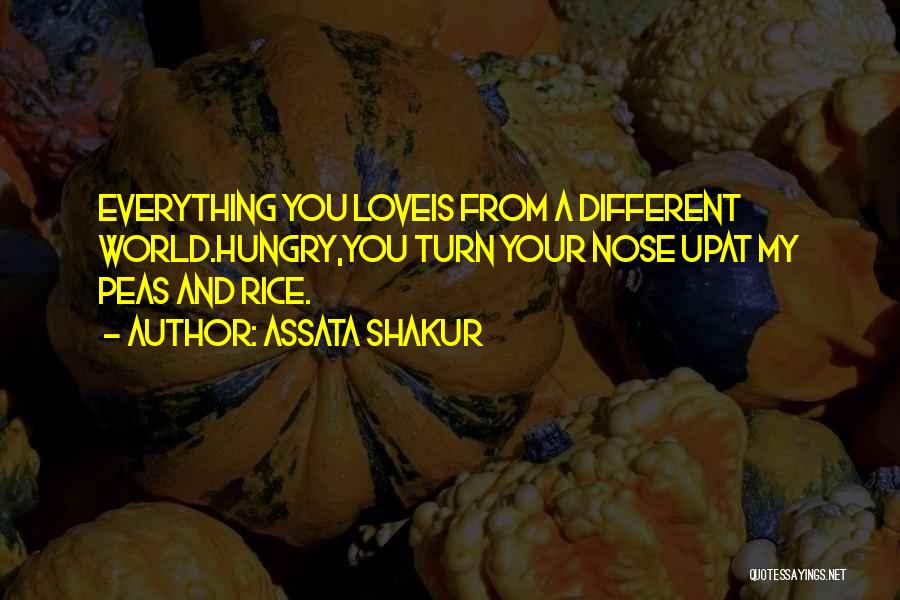 Assata Shakur Quotes: Everything You Loveis From A Different World.hungry,you Turn Your Nose Upat My Peas And Rice.