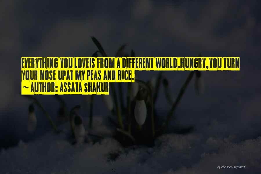 Assata Shakur Quotes: Everything You Loveis From A Different World.hungry,you Turn Your Nose Upat My Peas And Rice.