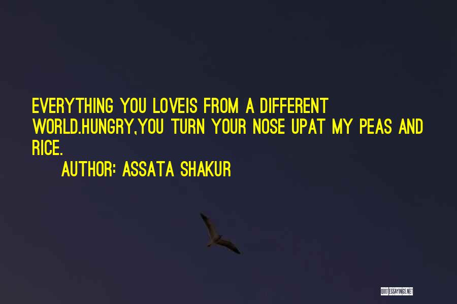 Assata Shakur Quotes: Everything You Loveis From A Different World.hungry,you Turn Your Nose Upat My Peas And Rice.