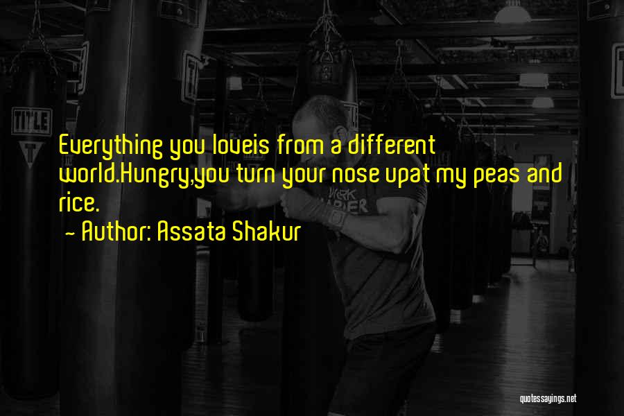 Assata Shakur Quotes: Everything You Loveis From A Different World.hungry,you Turn Your Nose Upat My Peas And Rice.