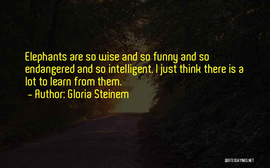 Gloria Steinem Quotes: Elephants Are So Wise And So Funny And So Endangered And So Intelligent. I Just Think There Is A Lot