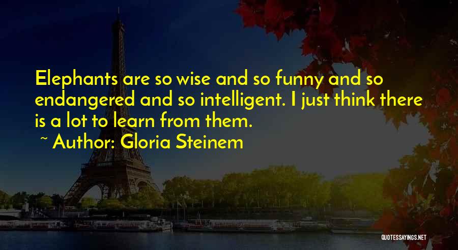 Gloria Steinem Quotes: Elephants Are So Wise And So Funny And So Endangered And So Intelligent. I Just Think There Is A Lot