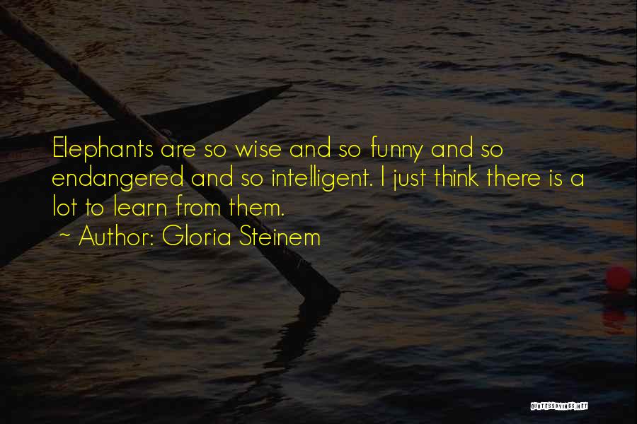 Gloria Steinem Quotes: Elephants Are So Wise And So Funny And So Endangered And So Intelligent. I Just Think There Is A Lot