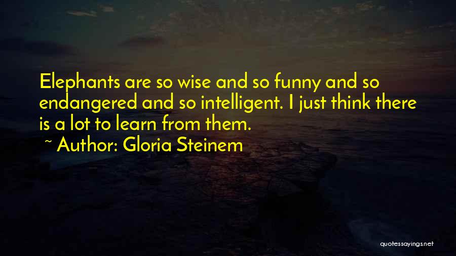 Gloria Steinem Quotes: Elephants Are So Wise And So Funny And So Endangered And So Intelligent. I Just Think There Is A Lot