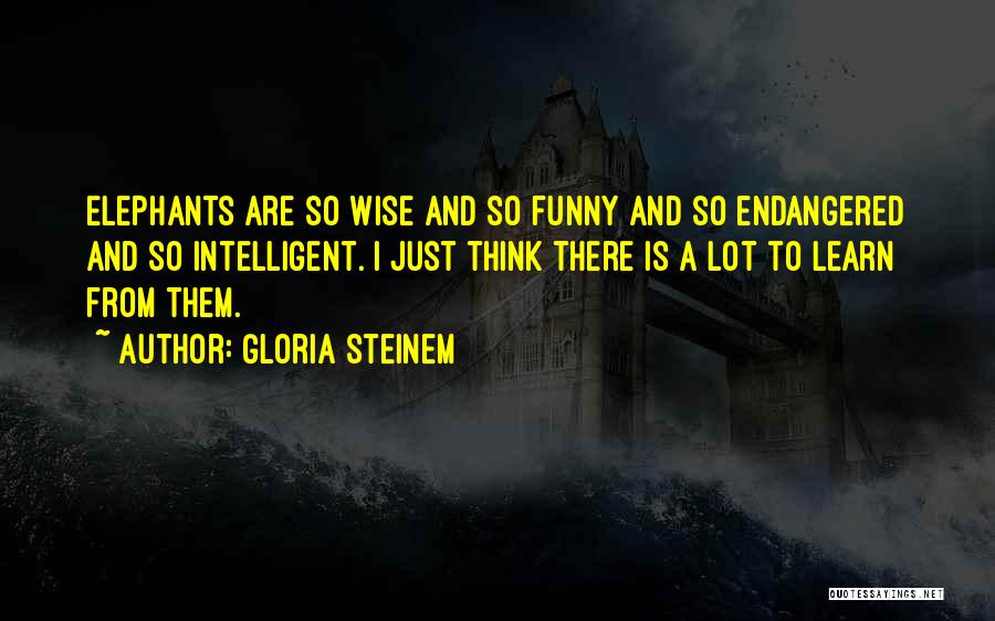 Gloria Steinem Quotes: Elephants Are So Wise And So Funny And So Endangered And So Intelligent. I Just Think There Is A Lot