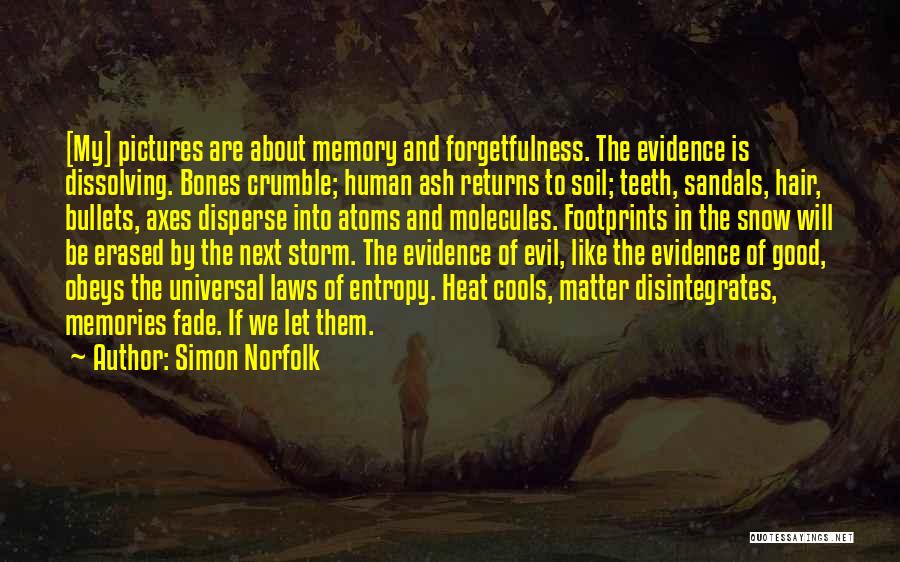 Simon Norfolk Quotes: [my] Pictures Are About Memory And Forgetfulness. The Evidence Is Dissolving. Bones Crumble; Human Ash Returns To Soil; Teeth, Sandals,