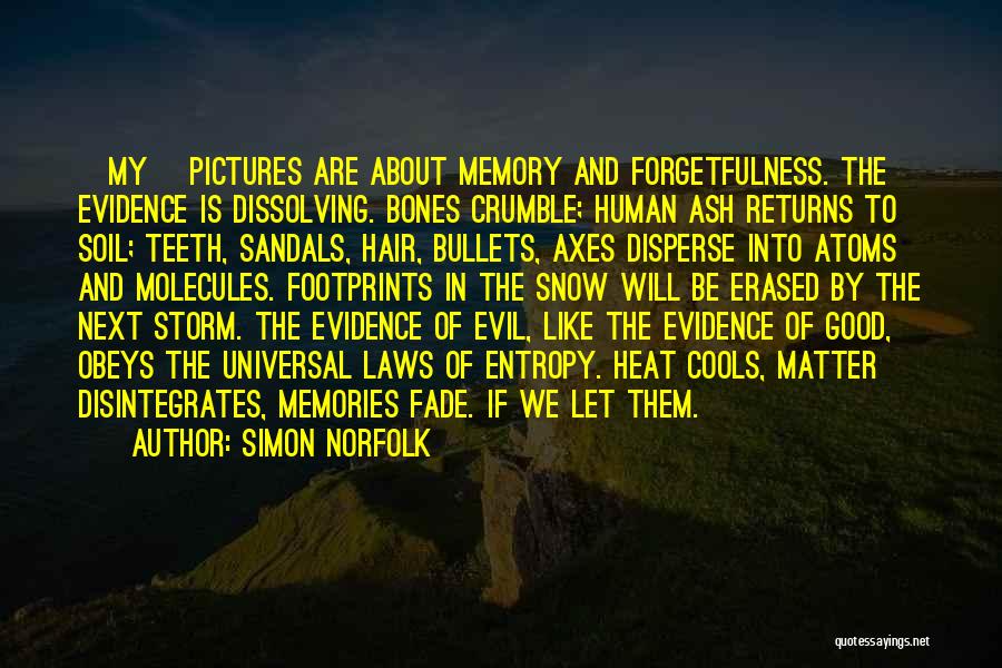 Simon Norfolk Quotes: [my] Pictures Are About Memory And Forgetfulness. The Evidence Is Dissolving. Bones Crumble; Human Ash Returns To Soil; Teeth, Sandals,