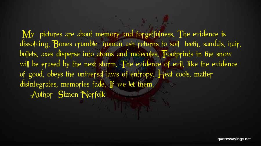 Simon Norfolk Quotes: [my] Pictures Are About Memory And Forgetfulness. The Evidence Is Dissolving. Bones Crumble; Human Ash Returns To Soil; Teeth, Sandals,