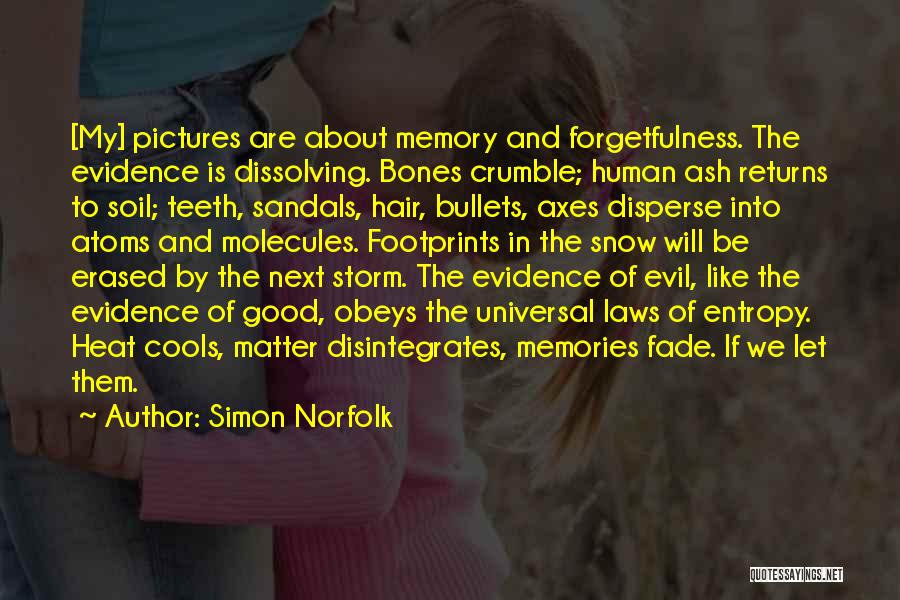 Simon Norfolk Quotes: [my] Pictures Are About Memory And Forgetfulness. The Evidence Is Dissolving. Bones Crumble; Human Ash Returns To Soil; Teeth, Sandals,