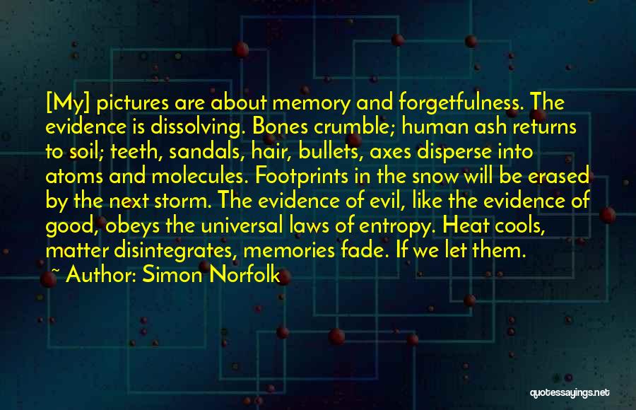 Simon Norfolk Quotes: [my] Pictures Are About Memory And Forgetfulness. The Evidence Is Dissolving. Bones Crumble; Human Ash Returns To Soil; Teeth, Sandals,