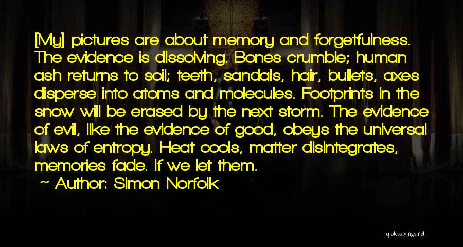 Simon Norfolk Quotes: [my] Pictures Are About Memory And Forgetfulness. The Evidence Is Dissolving. Bones Crumble; Human Ash Returns To Soil; Teeth, Sandals,