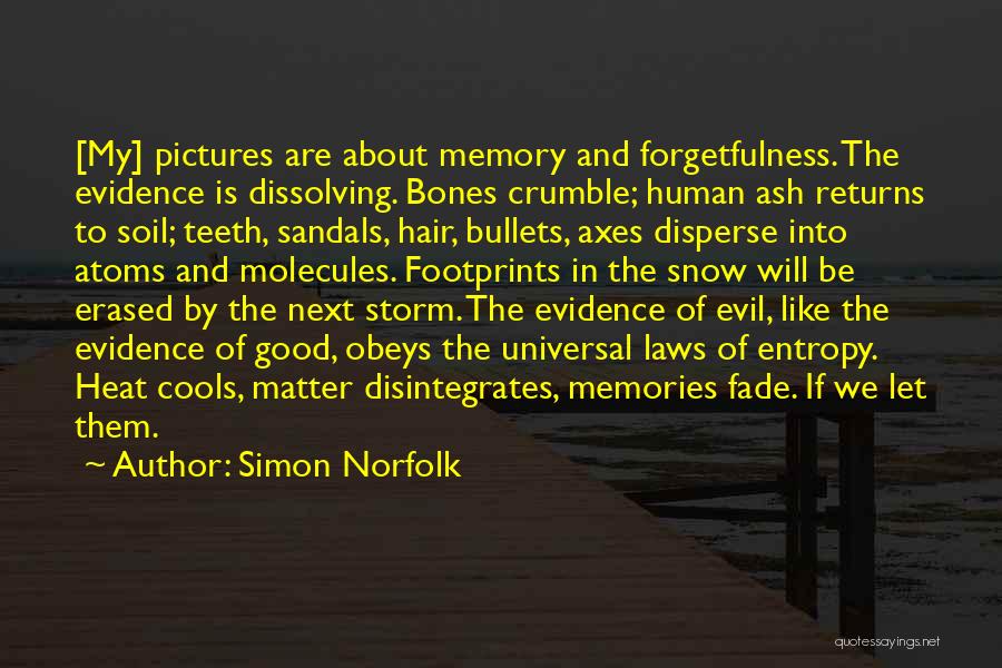 Simon Norfolk Quotes: [my] Pictures Are About Memory And Forgetfulness. The Evidence Is Dissolving. Bones Crumble; Human Ash Returns To Soil; Teeth, Sandals,