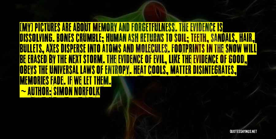 Simon Norfolk Quotes: [my] Pictures Are About Memory And Forgetfulness. The Evidence Is Dissolving. Bones Crumble; Human Ash Returns To Soil; Teeth, Sandals,