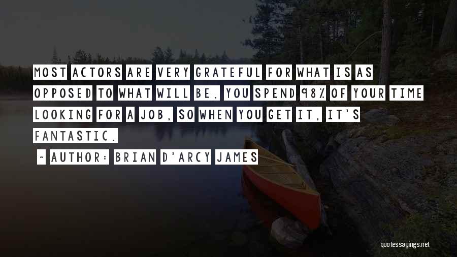 Brian D'Arcy James Quotes: Most Actors Are Very Grateful For What Is As Opposed To What Will Be. You Spend 98% Of Your Time