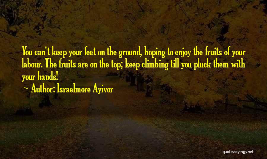 Israelmore Ayivor Quotes: You Can't Keep Your Feet On The Ground, Hoping To Enjoy The Fruits Of Your Labour. The Fruits Are On