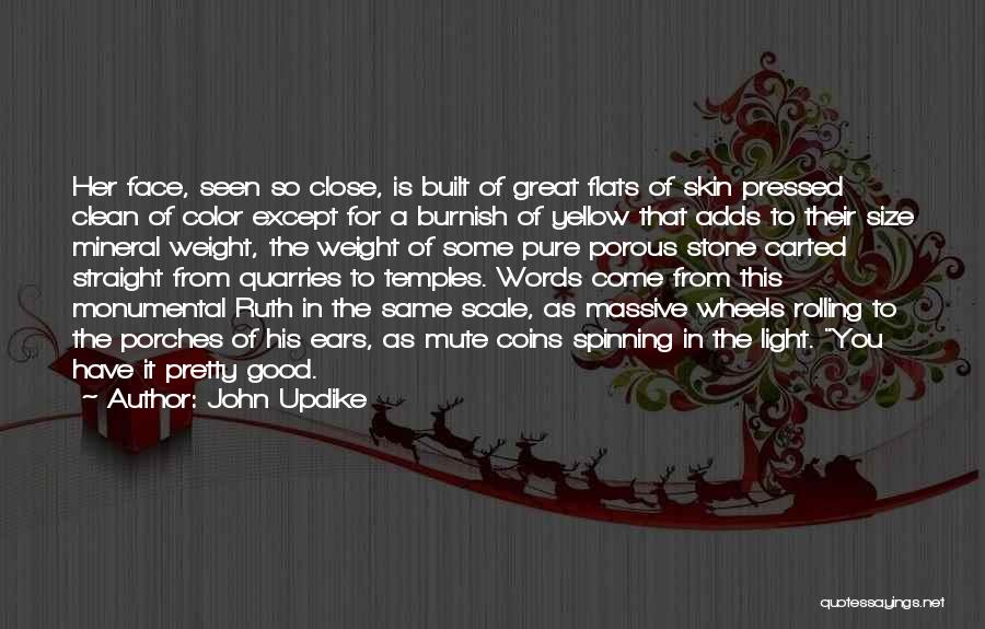 John Updike Quotes: Her Face, Seen So Close, Is Built Of Great Flats Of Skin Pressed Clean Of Color Except For A Burnish