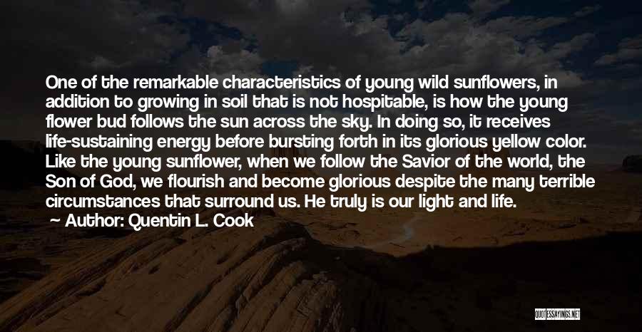 Quentin L. Cook Quotes: One Of The Remarkable Characteristics Of Young Wild Sunflowers, In Addition To Growing In Soil That Is Not Hospitable, Is