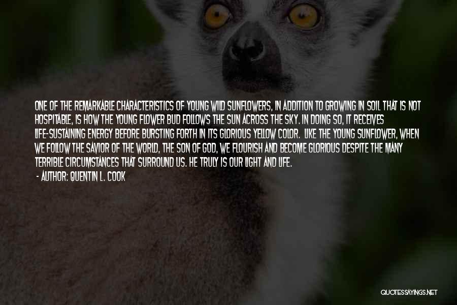 Quentin L. Cook Quotes: One Of The Remarkable Characteristics Of Young Wild Sunflowers, In Addition To Growing In Soil That Is Not Hospitable, Is