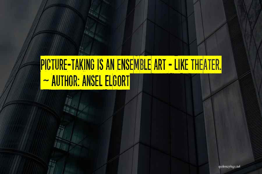 Ansel Elgort Quotes: Picture-taking Is An Ensemble Art - Like Theater.