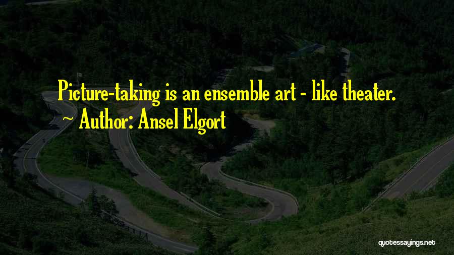 Ansel Elgort Quotes: Picture-taking Is An Ensemble Art - Like Theater.