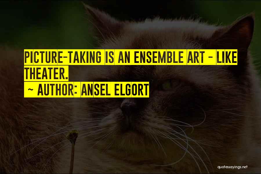 Ansel Elgort Quotes: Picture-taking Is An Ensemble Art - Like Theater.