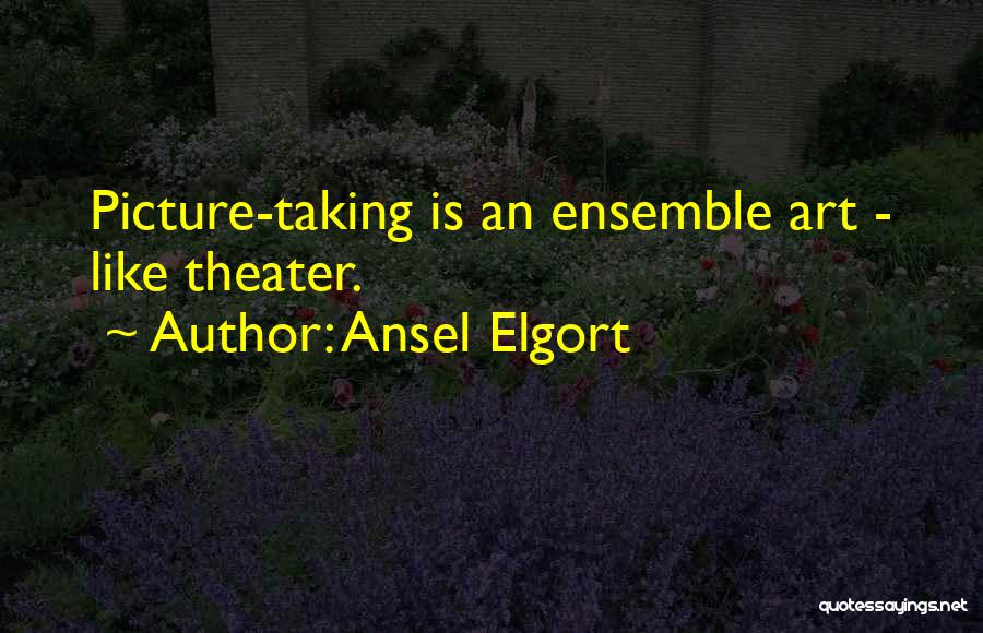 Ansel Elgort Quotes: Picture-taking Is An Ensemble Art - Like Theater.