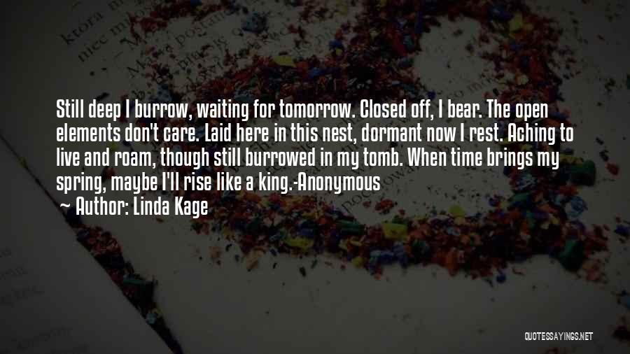 Linda Kage Quotes: Still Deep I Burrow, Waiting For Tomorrow. Closed Off, I Bear. The Open Elements Don't Care. Laid Here In This