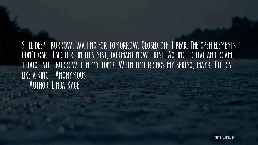 Linda Kage Quotes: Still Deep I Burrow, Waiting For Tomorrow. Closed Off, I Bear. The Open Elements Don't Care. Laid Here In This