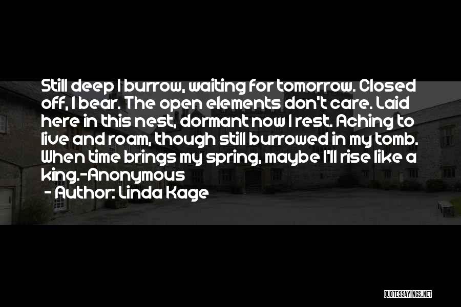 Linda Kage Quotes: Still Deep I Burrow, Waiting For Tomorrow. Closed Off, I Bear. The Open Elements Don't Care. Laid Here In This