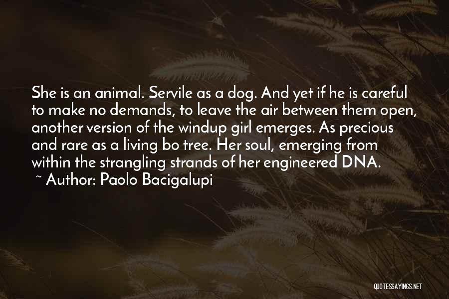 Paolo Bacigalupi Quotes: She Is An Animal. Servile As A Dog. And Yet If He Is Careful To Make No Demands, To Leave