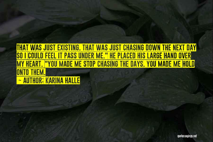 Karina Halle Quotes: That Was Just Existing. That Was Just Chasing Down The Next Day So I Could Feel It Pass Under Me.
