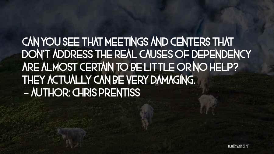 Chris Prentiss Quotes: Can You See That Meetings And Centers That Don't Address The Real Causes Of Dependency Are Almost Certain To Be