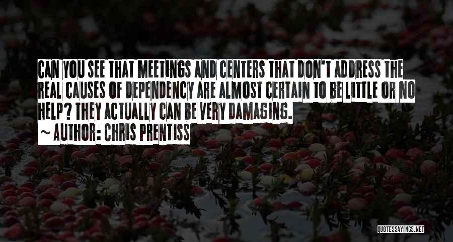 Chris Prentiss Quotes: Can You See That Meetings And Centers That Don't Address The Real Causes Of Dependency Are Almost Certain To Be