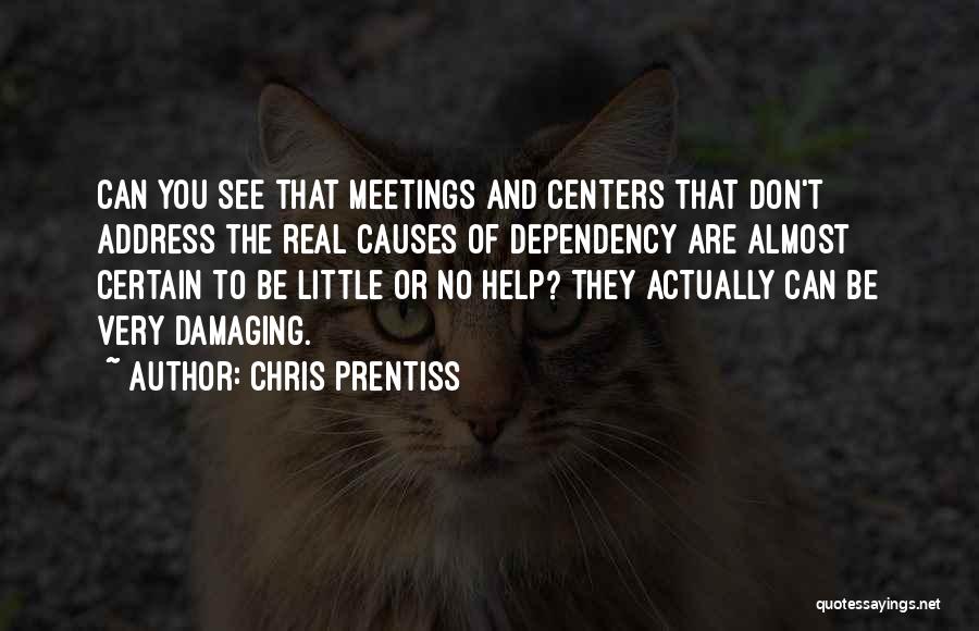 Chris Prentiss Quotes: Can You See That Meetings And Centers That Don't Address The Real Causes Of Dependency Are Almost Certain To Be