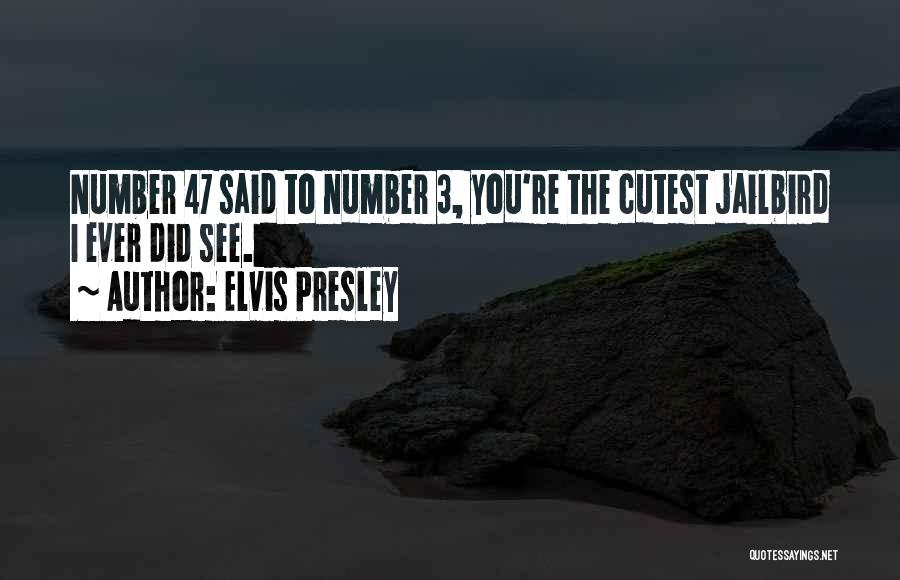 Elvis Presley Quotes: Number 47 Said To Number 3, You're The Cutest Jailbird I Ever Did See.