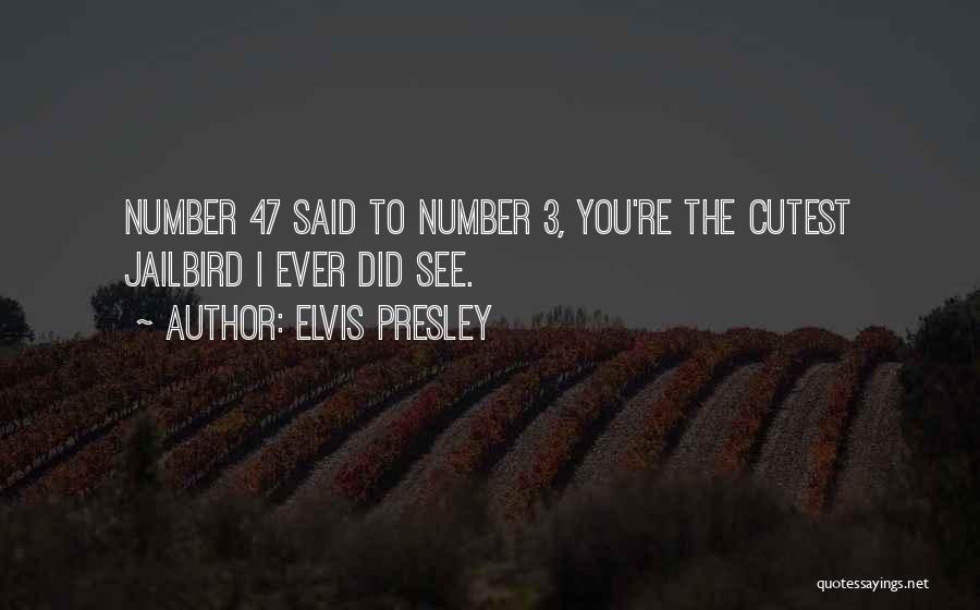 Elvis Presley Quotes: Number 47 Said To Number 3, You're The Cutest Jailbird I Ever Did See.