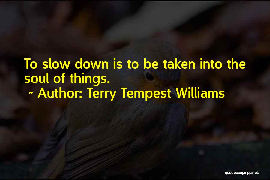 Terry Tempest Williams Quotes: To Slow Down Is To Be Taken Into The Soul Of Things.