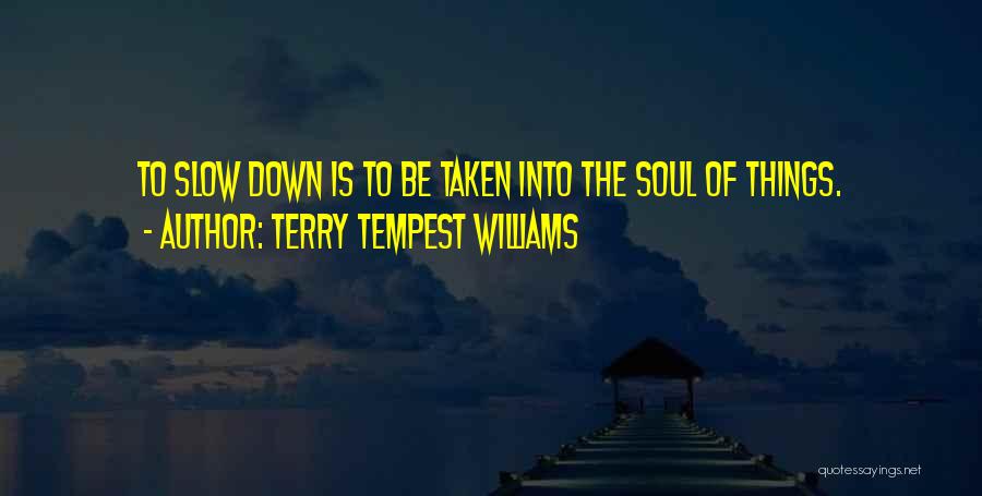 Terry Tempest Williams Quotes: To Slow Down Is To Be Taken Into The Soul Of Things.
