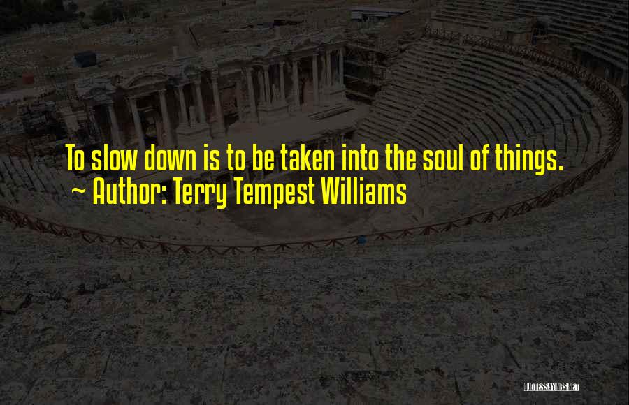 Terry Tempest Williams Quotes: To Slow Down Is To Be Taken Into The Soul Of Things.