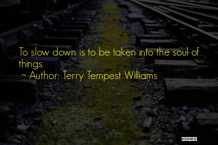 Terry Tempest Williams Quotes: To Slow Down Is To Be Taken Into The Soul Of Things.